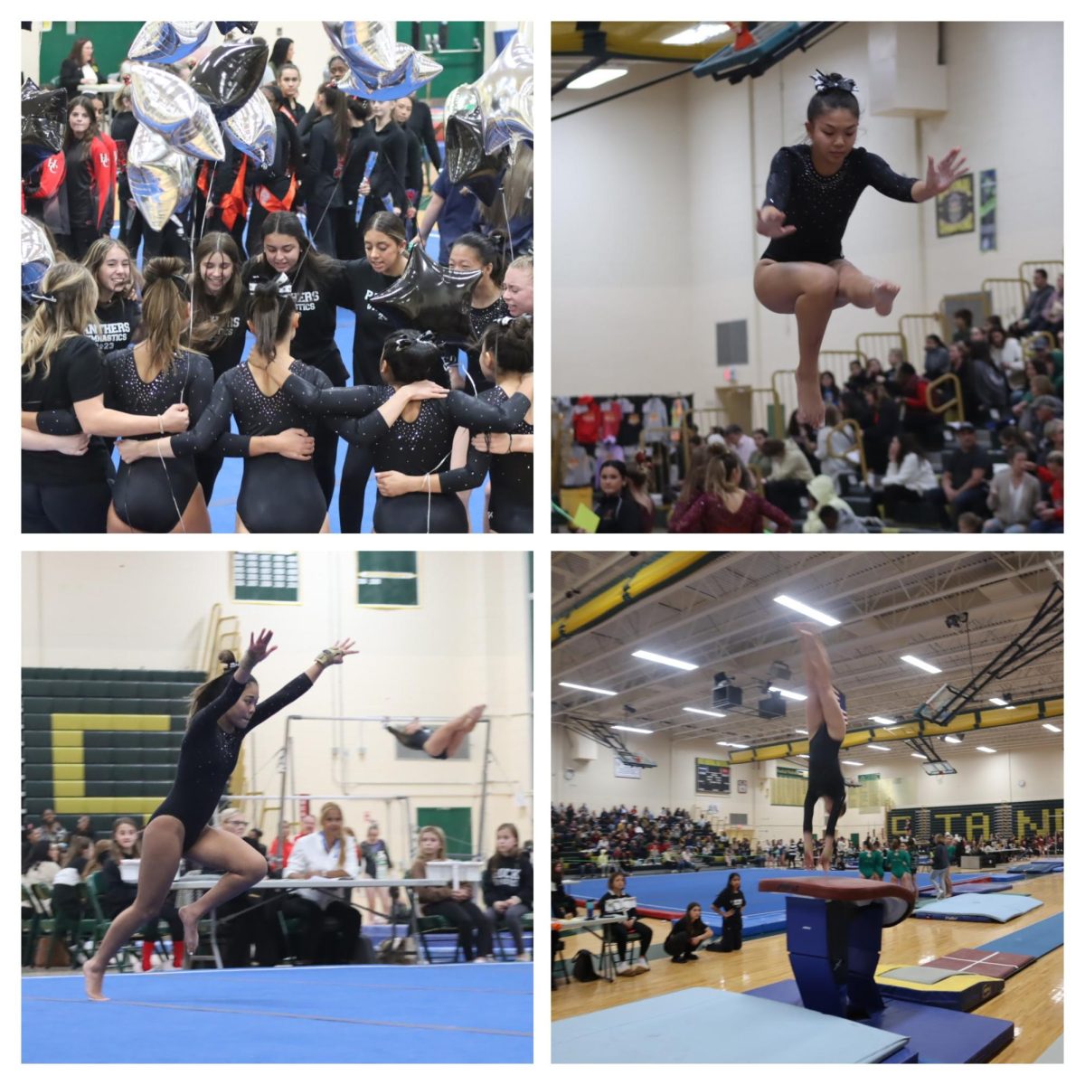 High+school+gymnastics+team+placed+fifth+in+state+championship+meet
