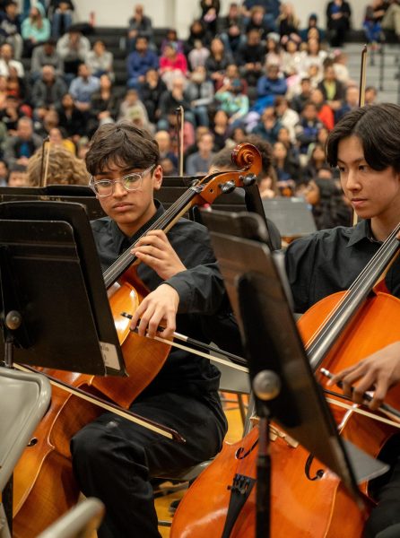 Orchestras had outstanding performances at the Festival of the Arts