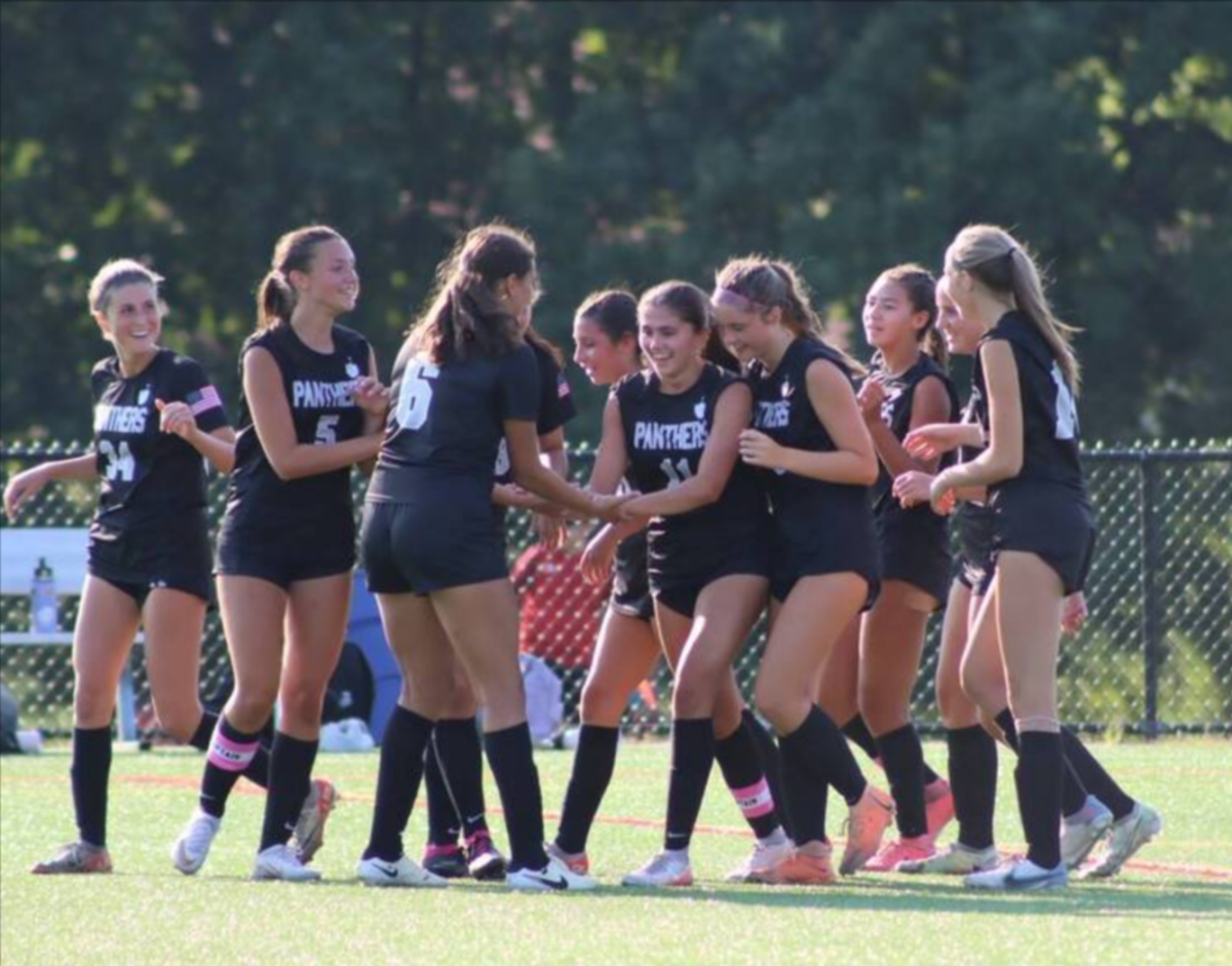 Girl's soccer team completed a storybook season