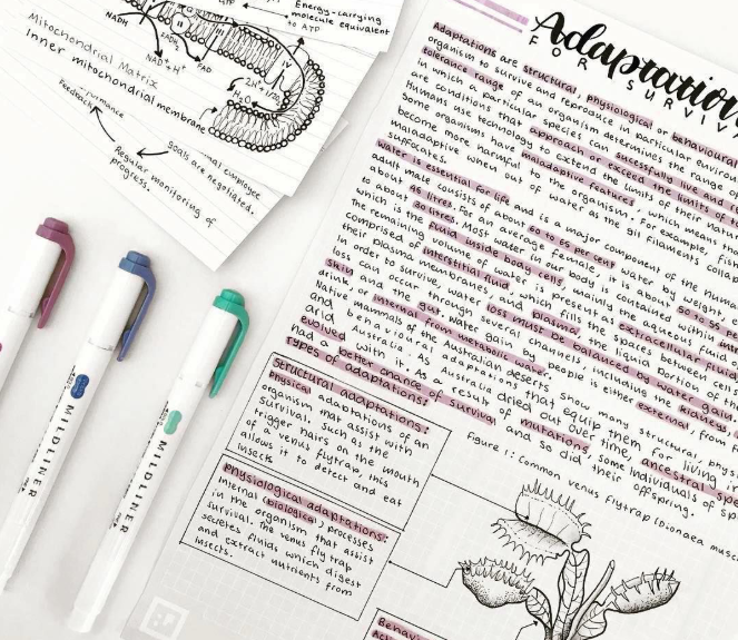 Note-taking is an important strategy for high school students and students in general.