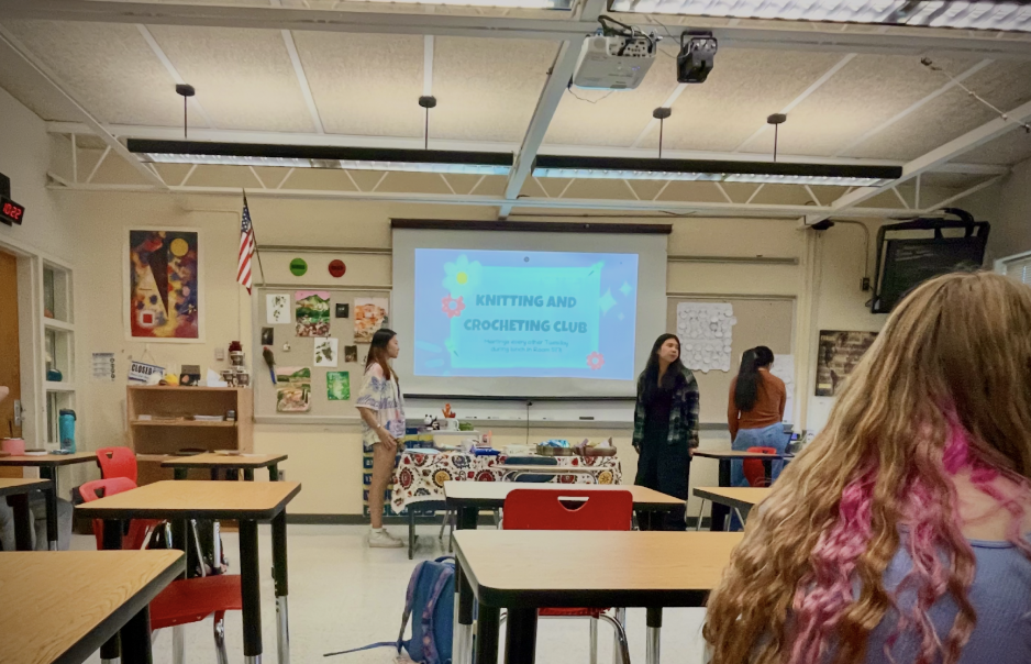Knitting and Crochet Club launched the new year, stich by stich